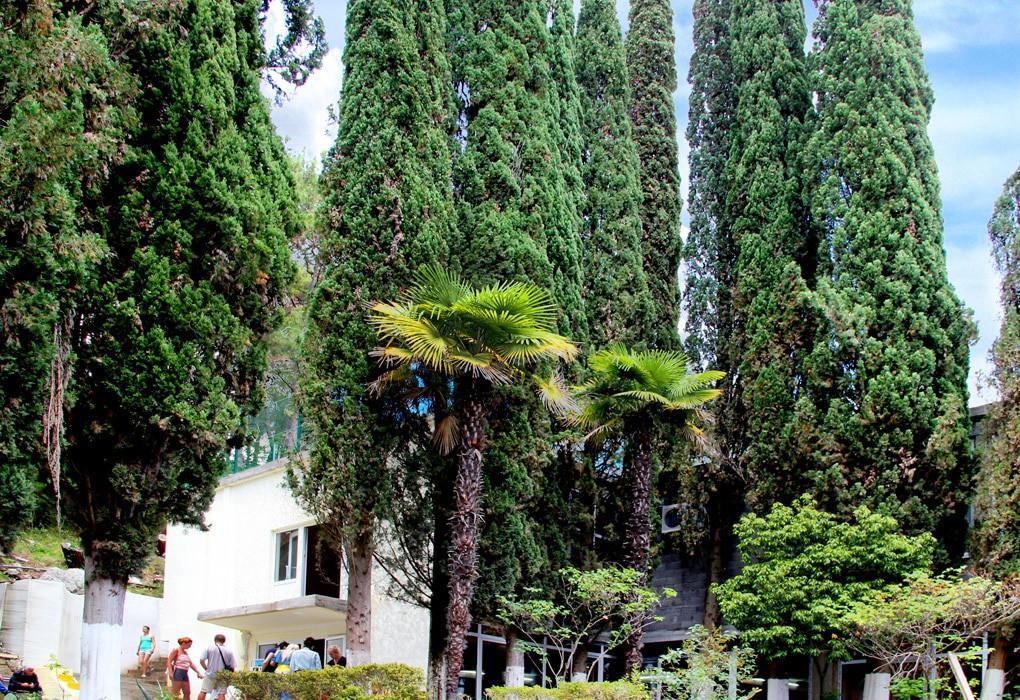 Pansionat Solnechniy Gagra Kültér fotó
